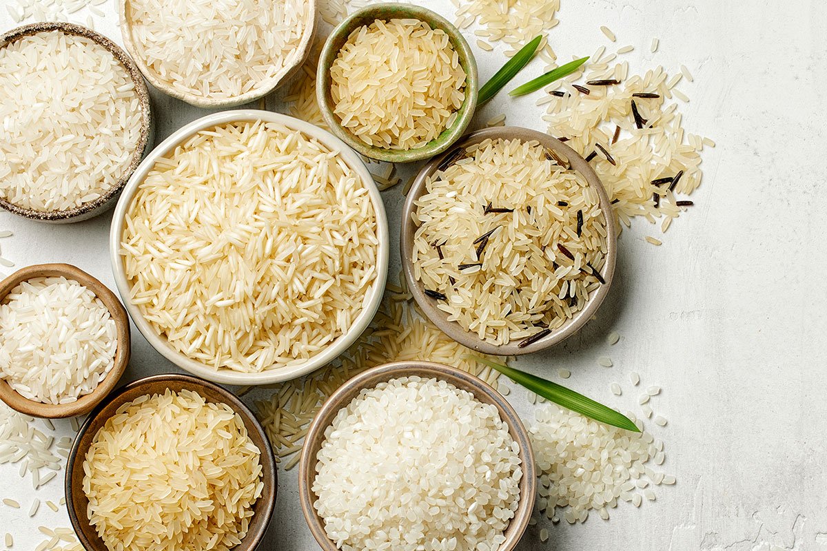 International Export Company in Tamilnadu